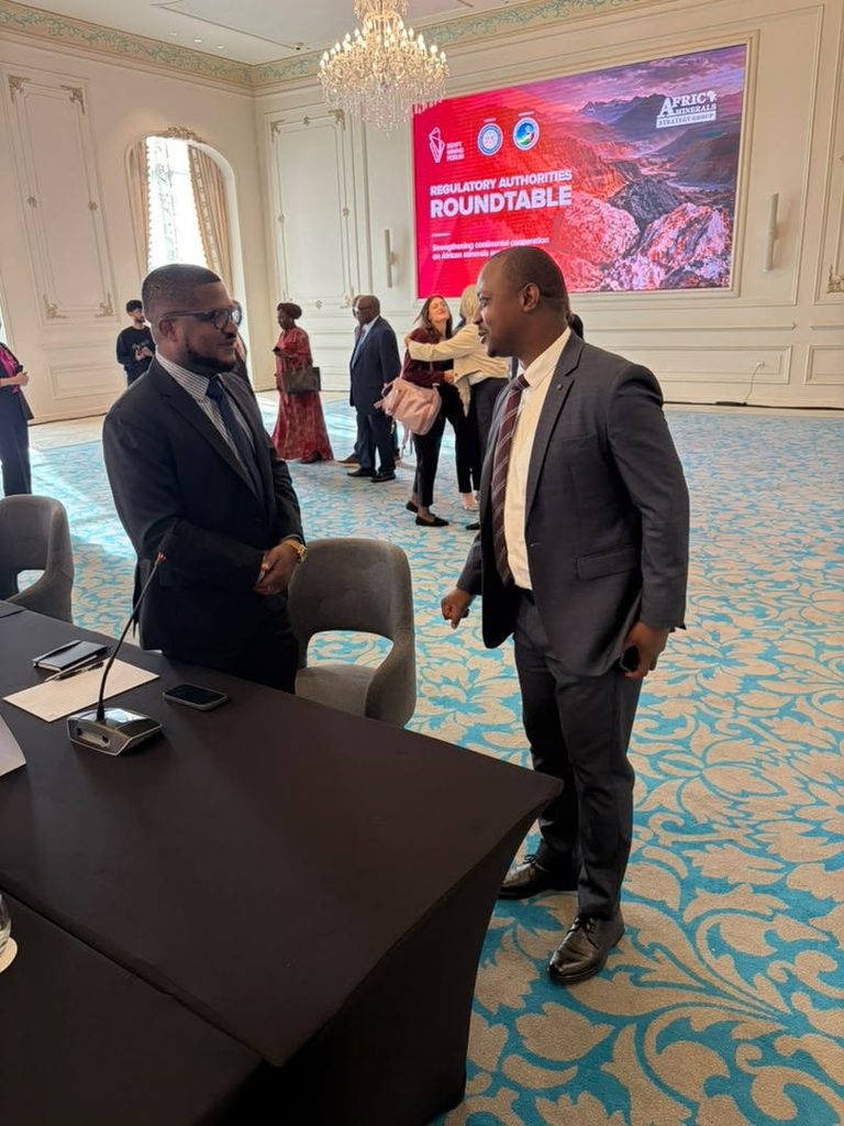 Africa must move beyond raw mineral exports, build unified regulatory framework — Minerals Commission CEO 6 MINCOM6 768x1024 1