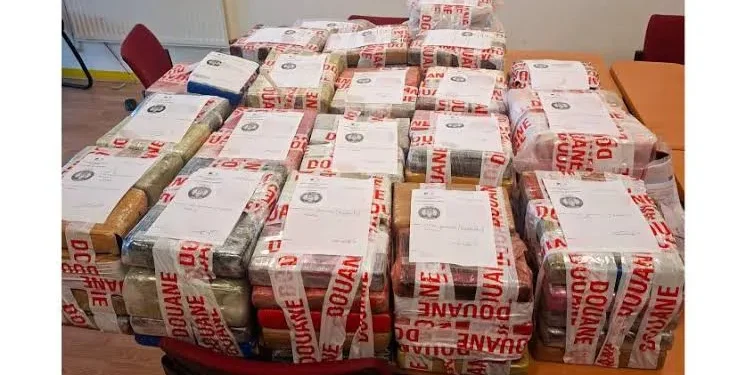 NACOC Arrests Three Suspects Linked to ‘Bolle Jos’ Network 1 NACOC 1 746x411 1