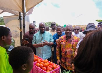 Government to rehabilitate 22 irrigation schemes in Volta by 2027