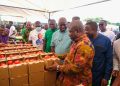 Ghana targets 400,000 tonnes of tomatoes, 600,000 jobs under new self-sufficiency drive