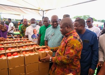 Ghana targets 400,000 tonnes of tomatoes, 600,000 jobs under new self-sufficiency drive