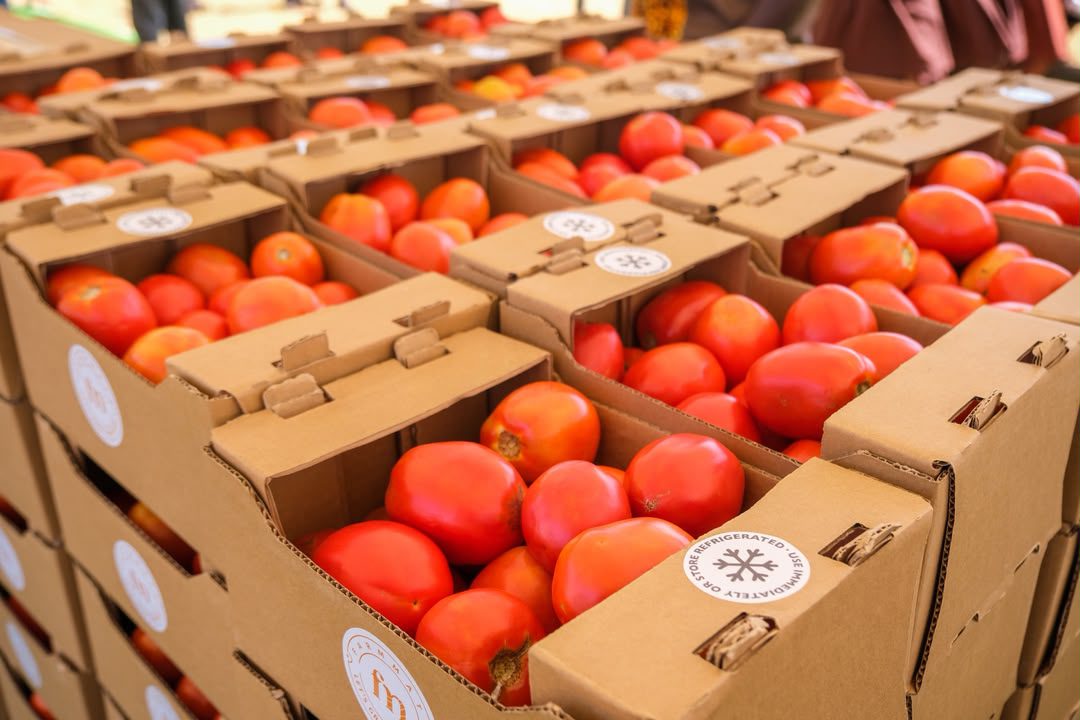 Ghana targets 400,000 tonnes of tomatoes, 600,000 jobs under new self-sufficiency drive 5 eric2