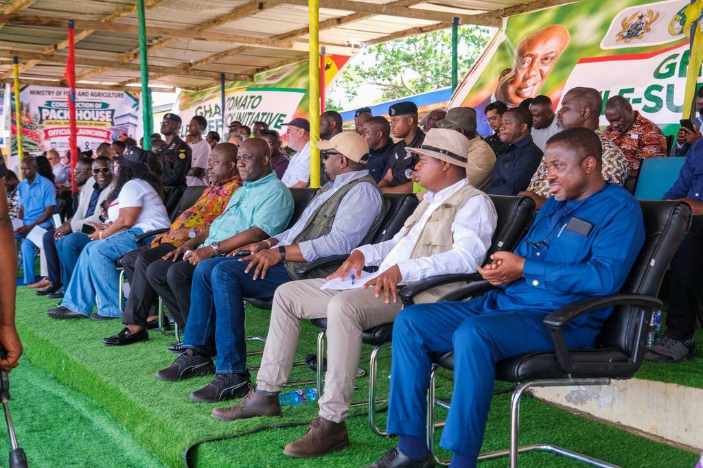 Ghana targets 400,000 tonnes of tomatoes, 600,000 jobs under new self-sufficiency drive 6 eric3