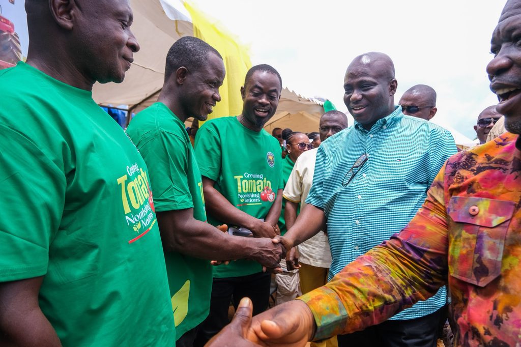 Ghana targets 400,000 tonnes of tomatoes, 600,000 jobs under new self-sufficiency drive 9 eric6