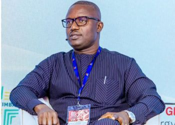 Energy minister advocates balanced gas strategy to strengthen Africa’s Energy Security 2 Jinapor