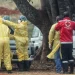 ebola