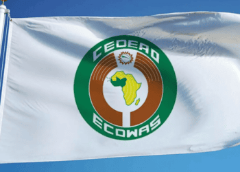 ECOWAS pushes for independent energy institutions to attract private investment