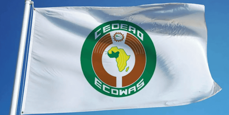 ECOWAS pushes for independent energy institutions to attract private investment