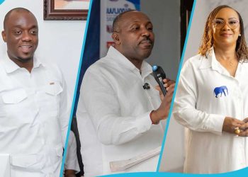 NPP’s new executives not the best team to win 2028 — Prof. Ayelazuno 2 NPP’s new executives not the best team to win 2028 — Prof. Ayelazuno